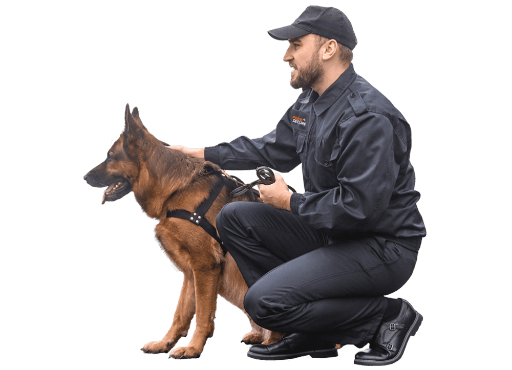 Specialist Canine Security through Security Dog Services Cardiff
