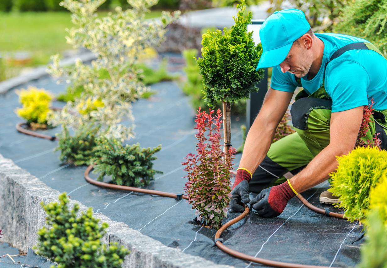 Idées créatives pour aménager votre jardin avec un Paysagiste