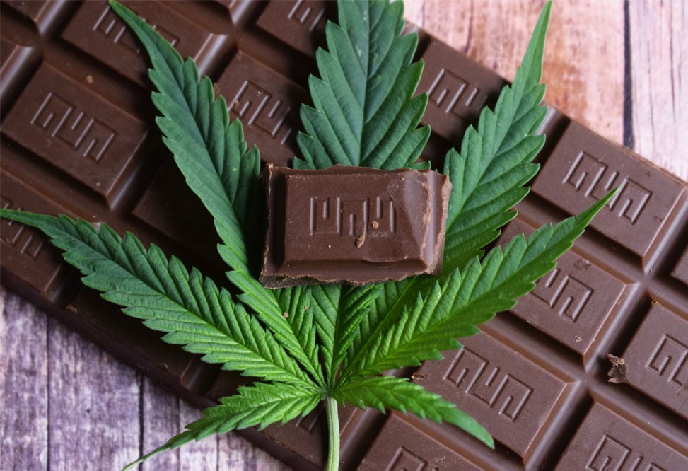 Cannabis club hamburg – Bio-Cannabis aus Gemeinschaftsanbau
