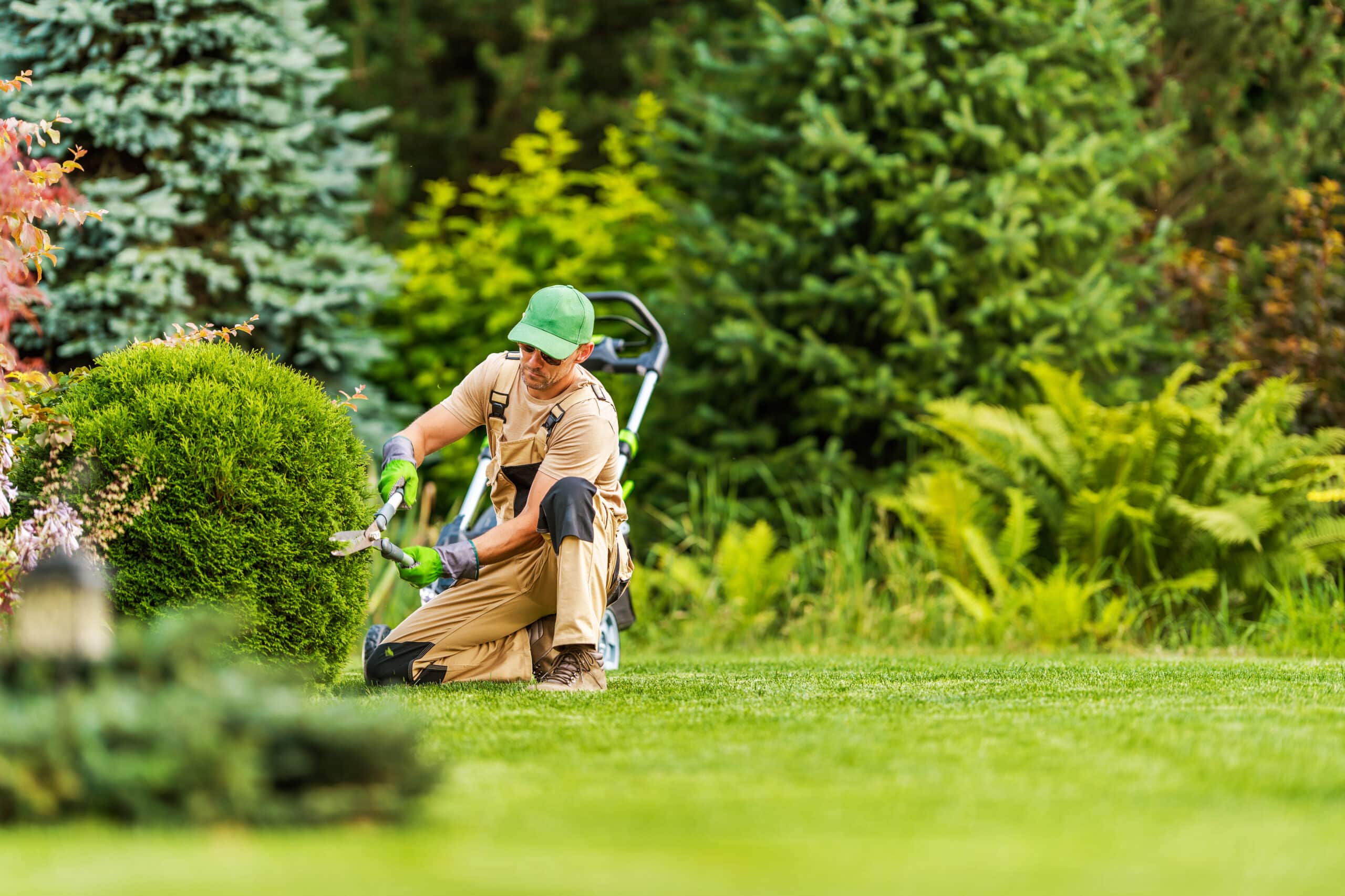 Professional Irrigation Services in Haslet, TX for Installations and Repairs
