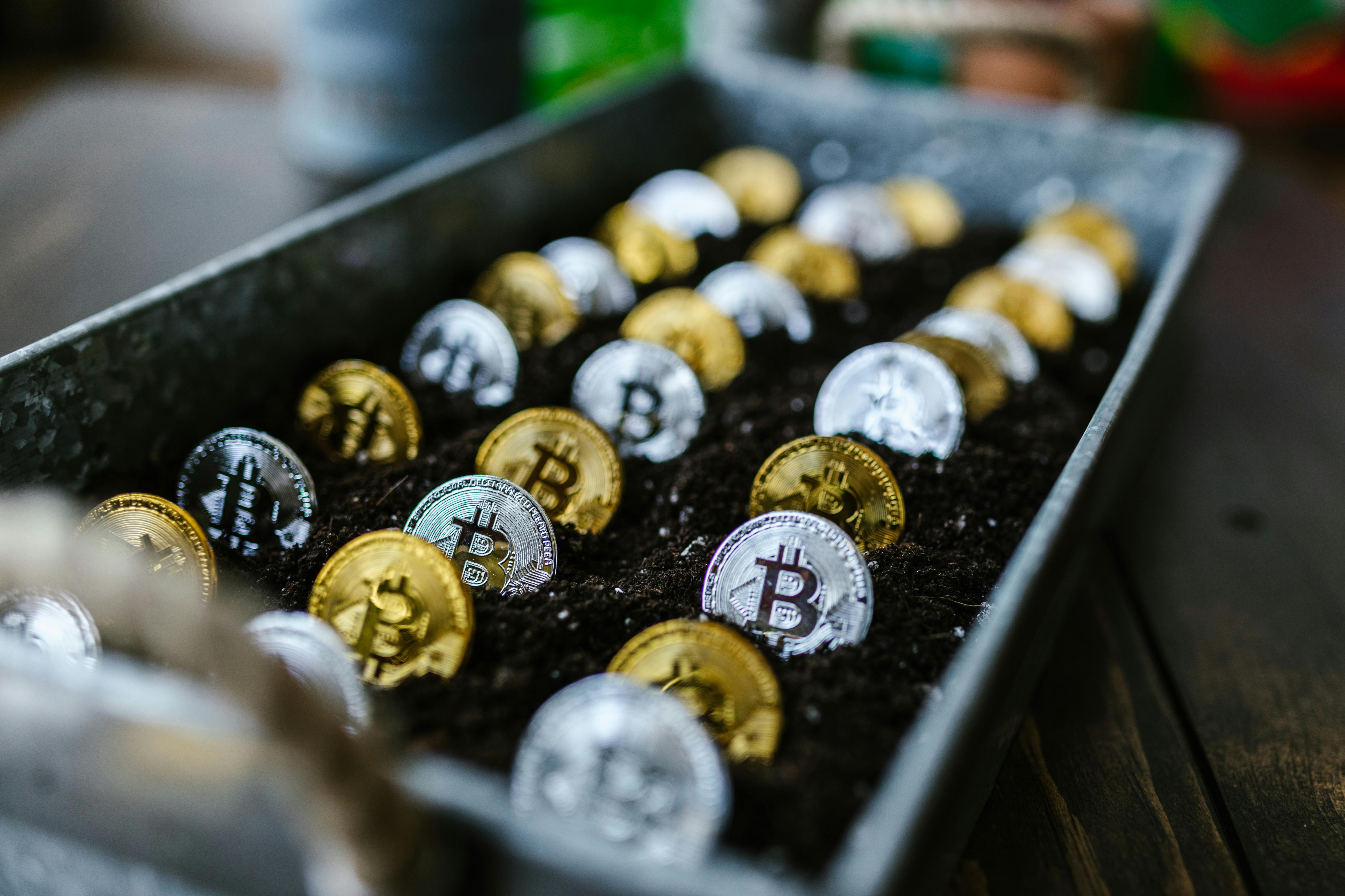 Why Reviews Matter When Choosing the Best Crypto Recovery Companies