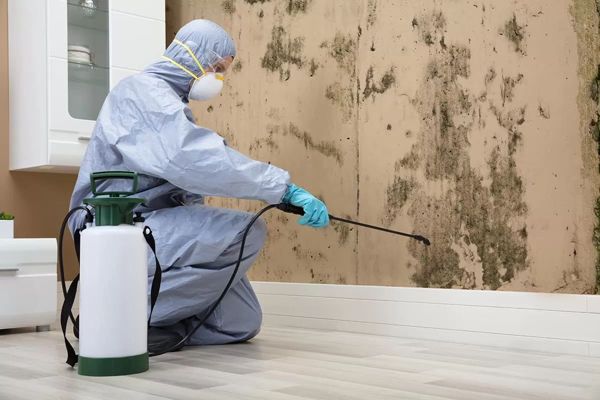 Trusted Specialists in mold remediation mueller austin tx