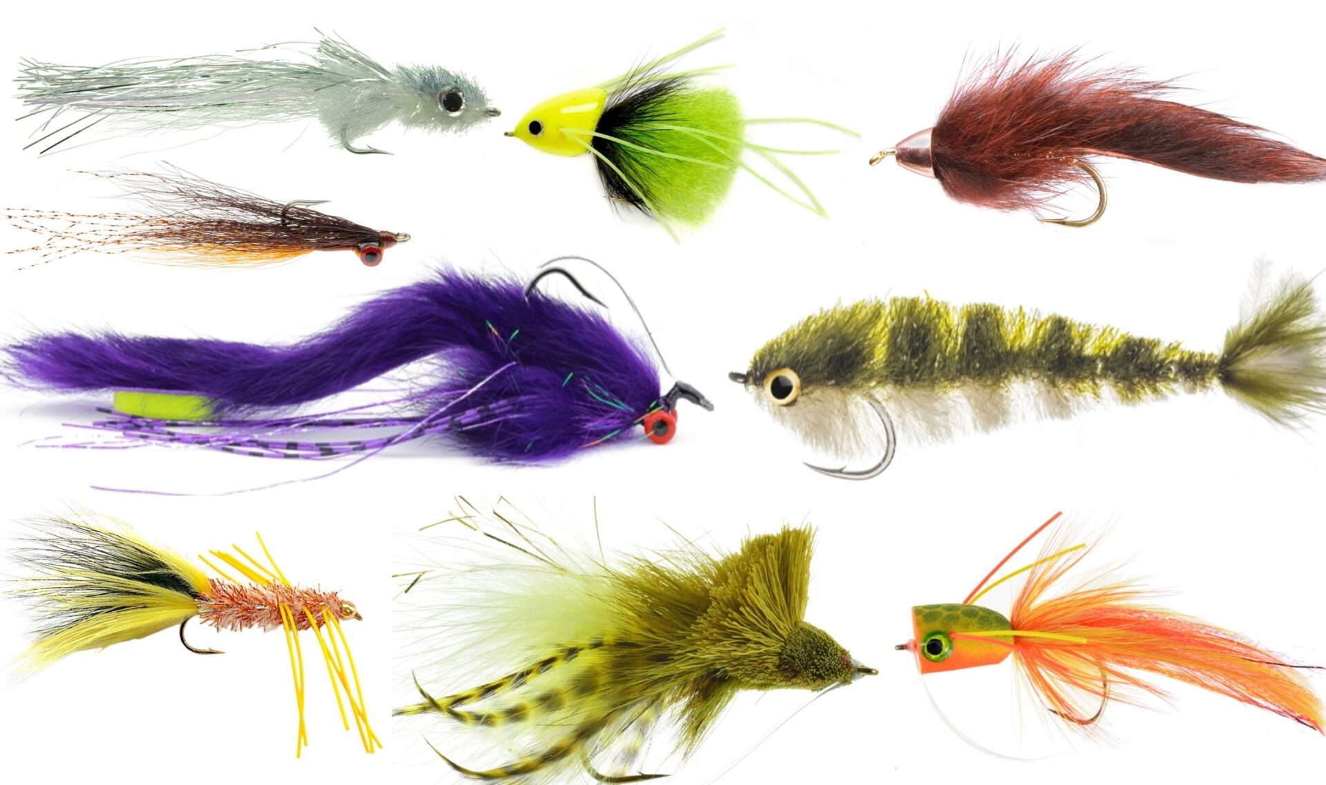 Best Flies for Fly Fishing for Bass
