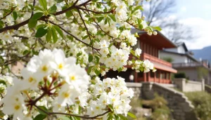 葉酸サプリおすすめを探るためのボトルが並ぶ画像、光が差し込む優しい雰囲気。