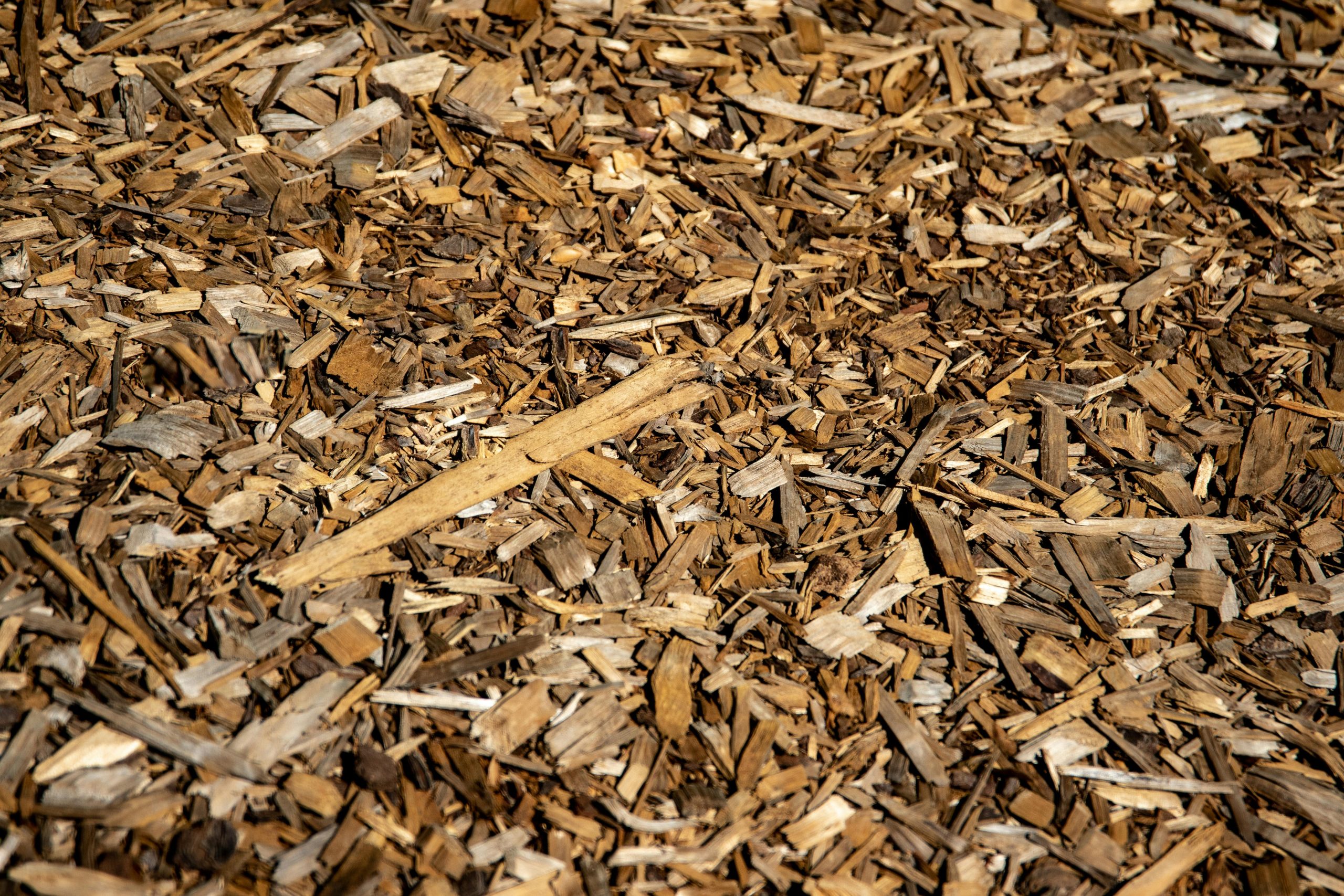 Premium Wood Shavings for Industrial Applications
